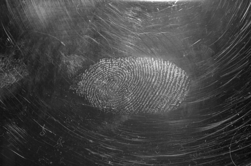 Biometric Identity