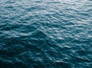 quiero agua livegore