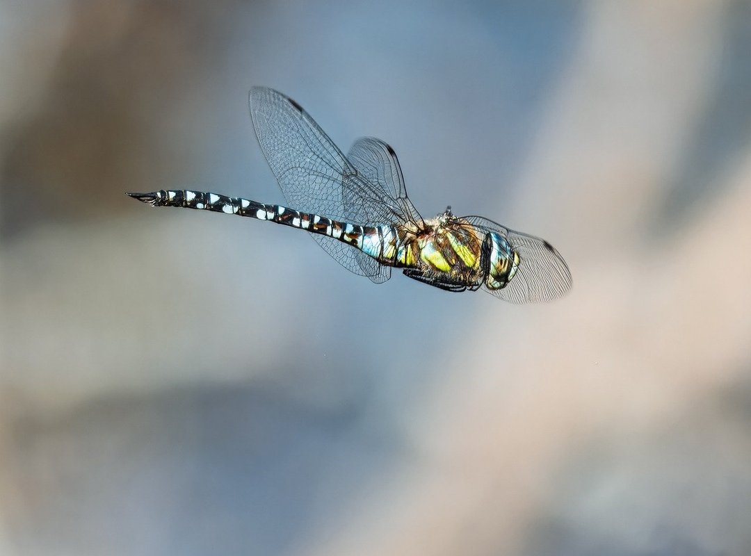 What New Tech Is Coming Out Scookietech